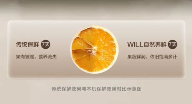 容声冰箱如何打破存量市场 “天花板”j9九游真人游戏第一平台一路狂飙看(图5)