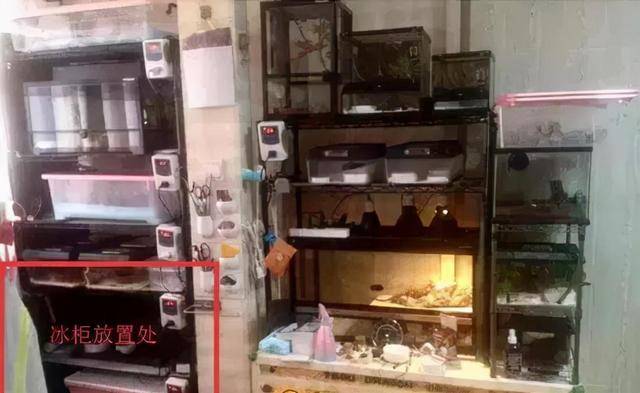 教师被丈夫掐死藏冰柜105天深度分析5个问题j9九游会(中国)网站回顾2016年上海女(图8)
