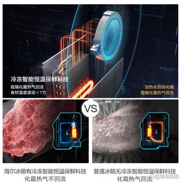 HFD1BWLU1：国补1240元超薄多门冰箱J9国际网站海尔山茶花系列BCD-485WG(图4)